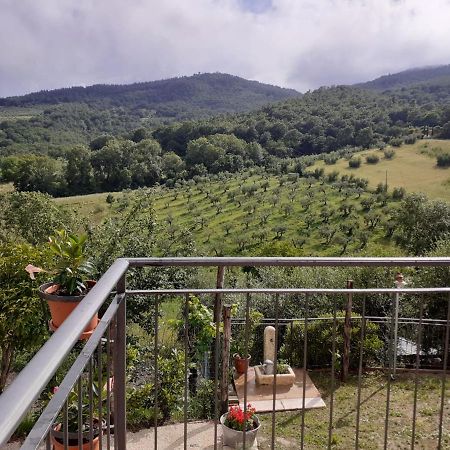 Apartament Costa Del Sole 42 Cetona Zewnętrze zdjęcie