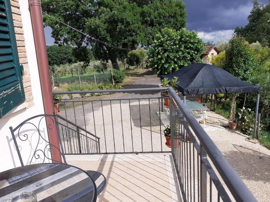 Apartament Costa Del Sole 42 Cetona Zewnętrze zdjęcie