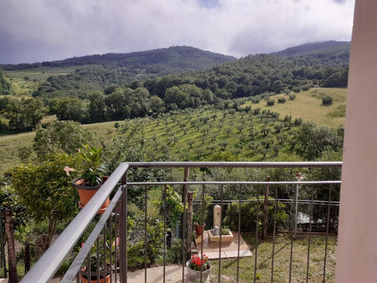 Apartament Costa Del Sole 42 Cetona Zewnętrze zdjęcie